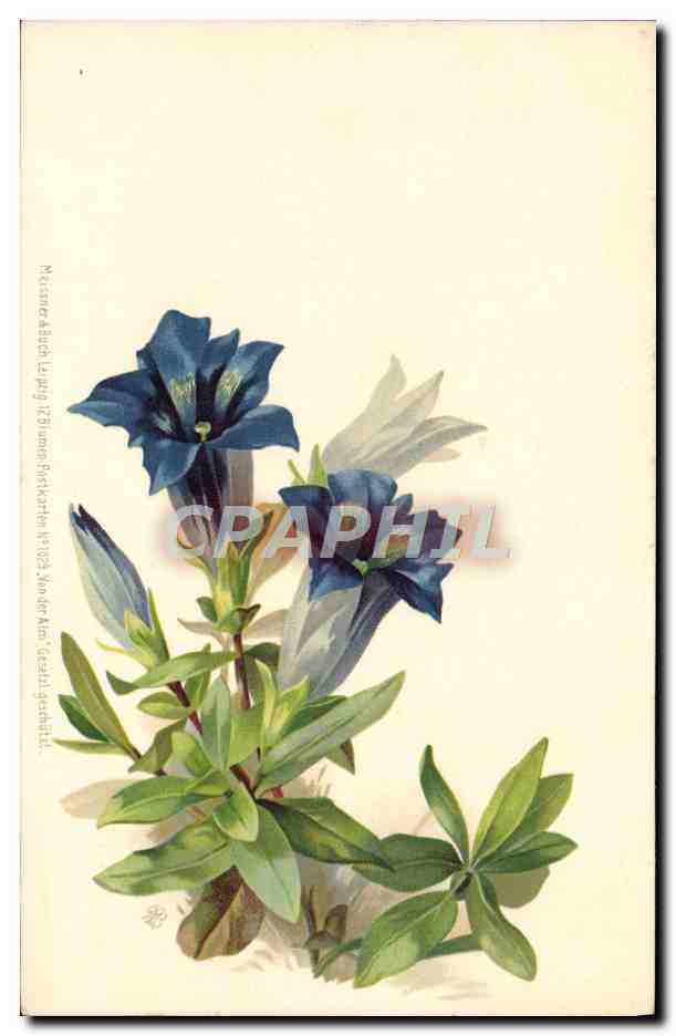 CPA Fantaisie Fleurs