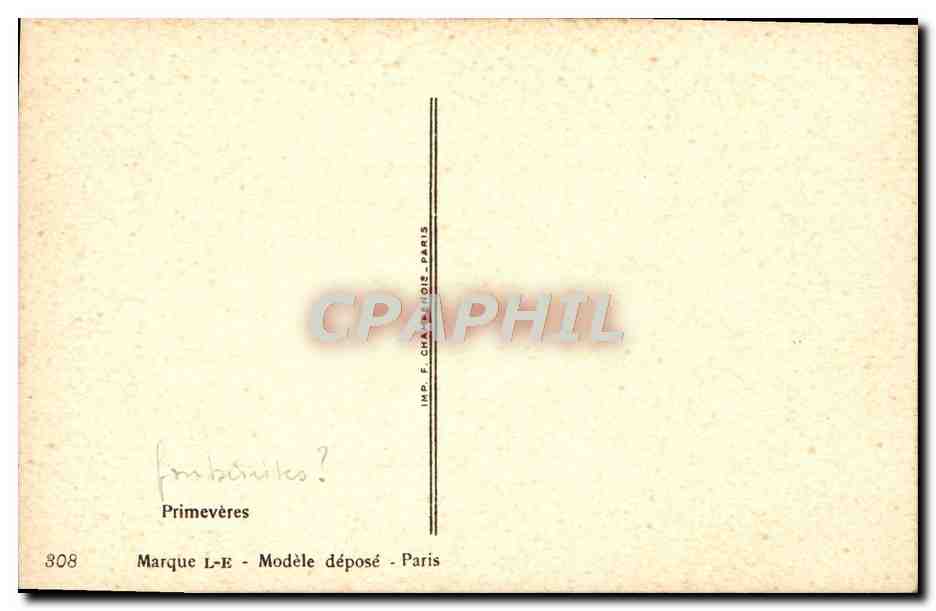 CPA Fantaisie Fleurs Primeveres — Verso