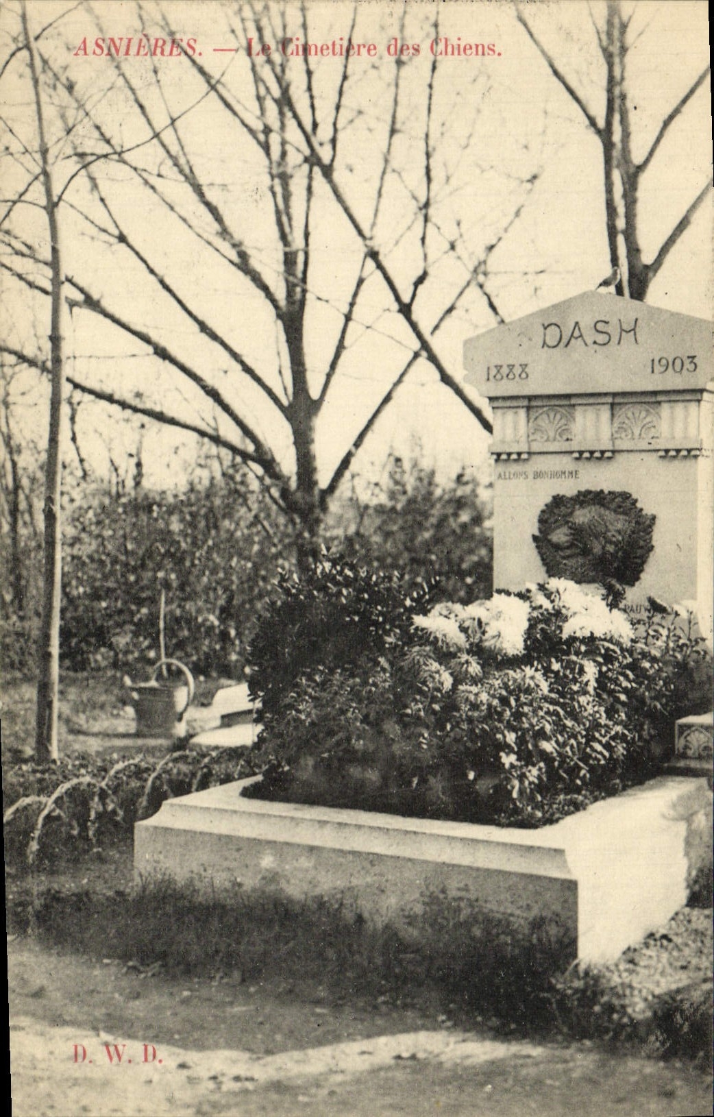 CPA Asnieres Le Cimetiere Des Chiens Dash Chien