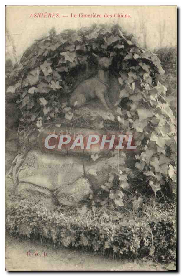 CPA Asnieres Le Cimetiere Des Chiens Jappy Chien
