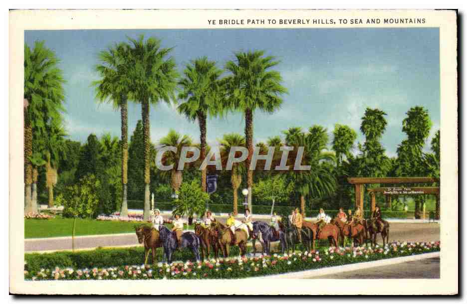 CPA Hollywood bowl Berverly Hills chevaux  — Rückseite