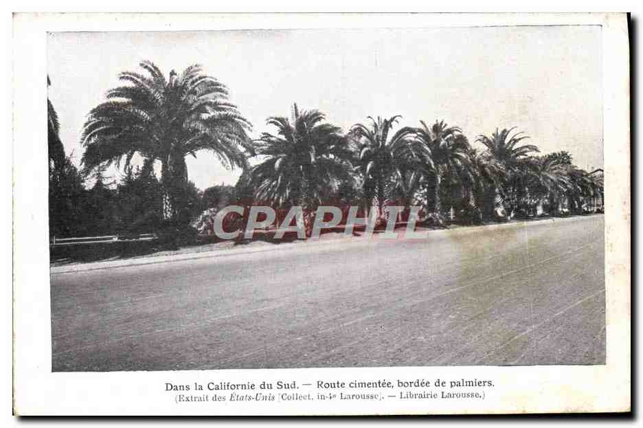 CPA Dans La Californie Du Sud Route Bordee De Palmiers