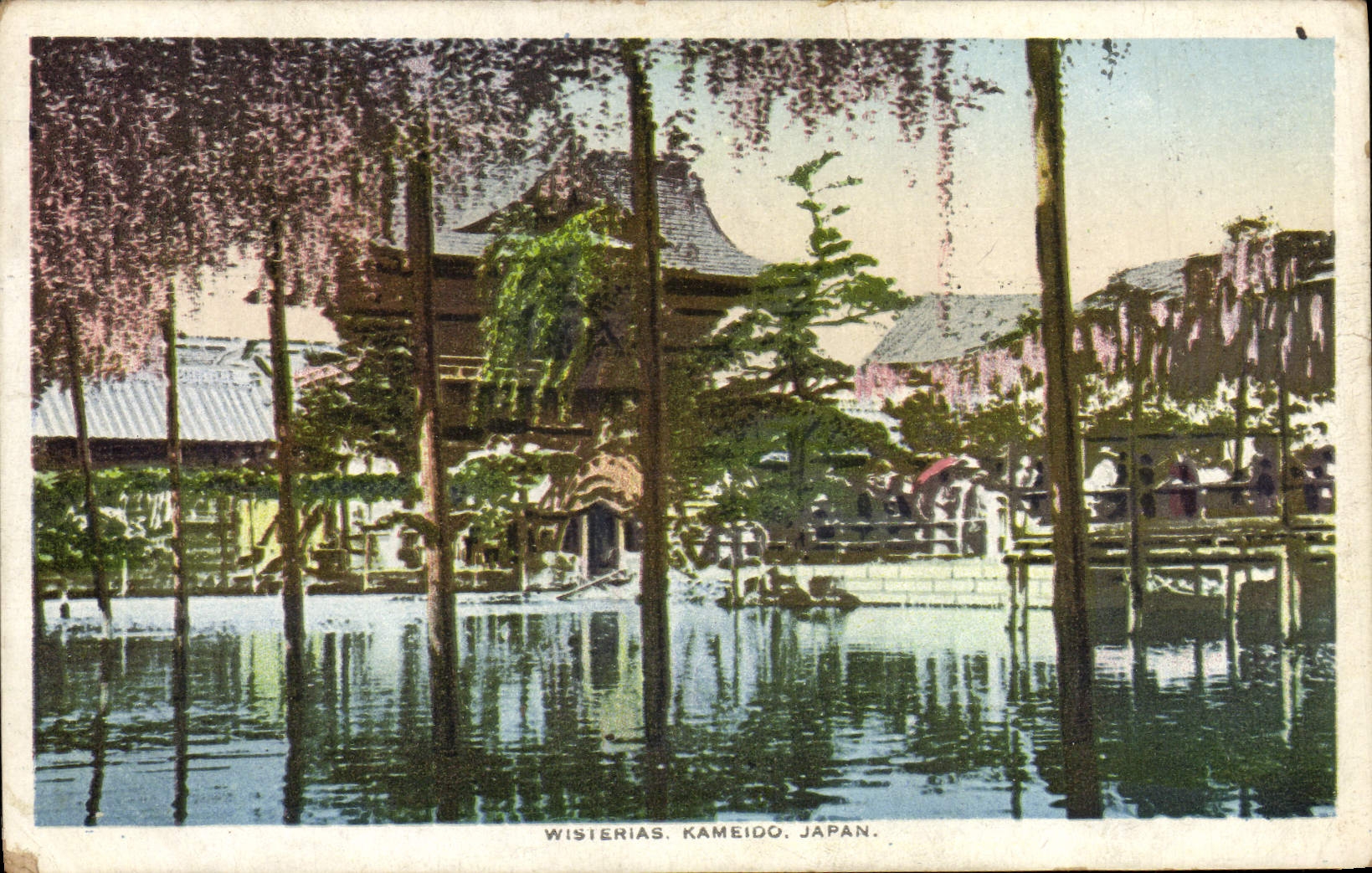 CPA Wisterias Kameido Japan