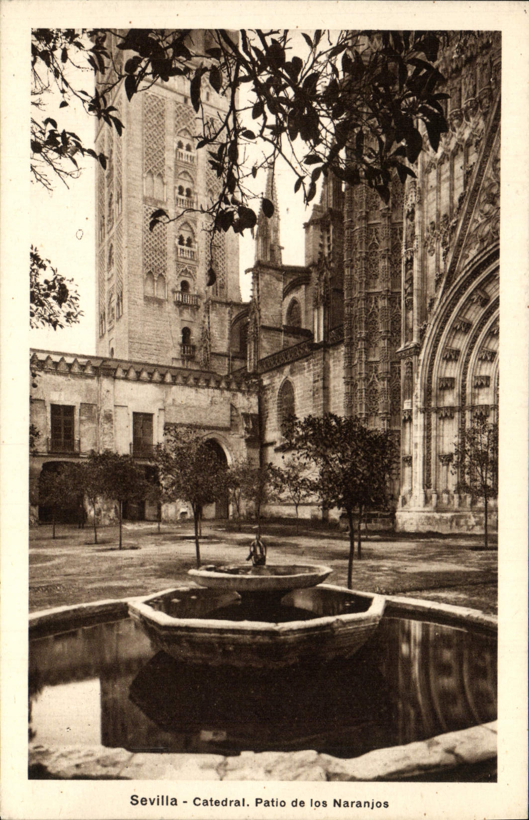 CPA Sevilla Catedral Patio de los Naranjos