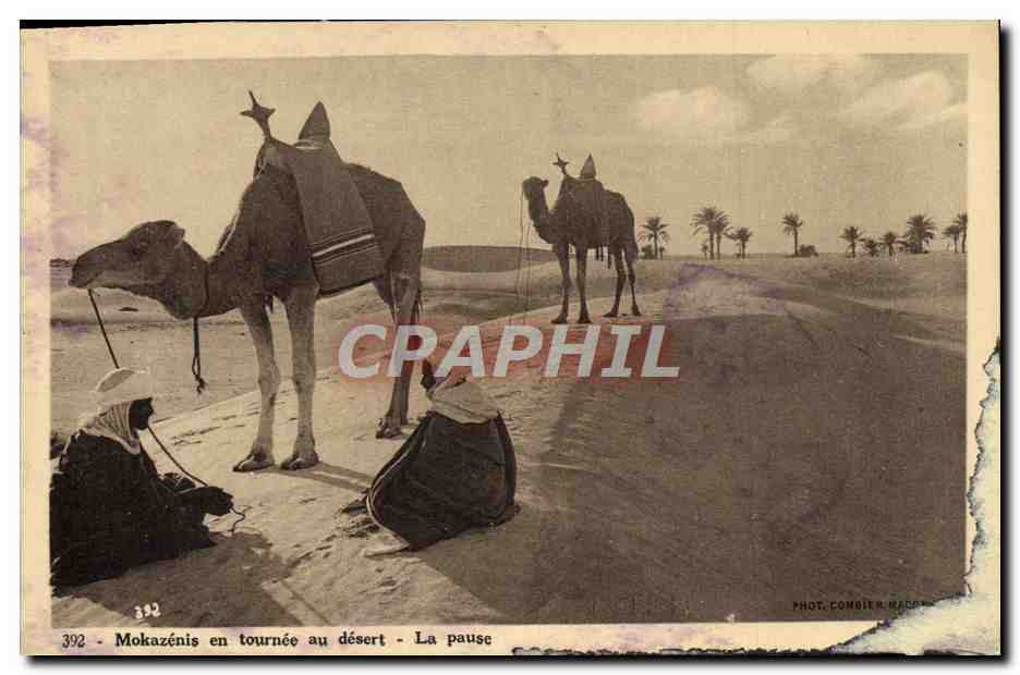 CPA Mokazens en tournee au desert La pause Chameaux