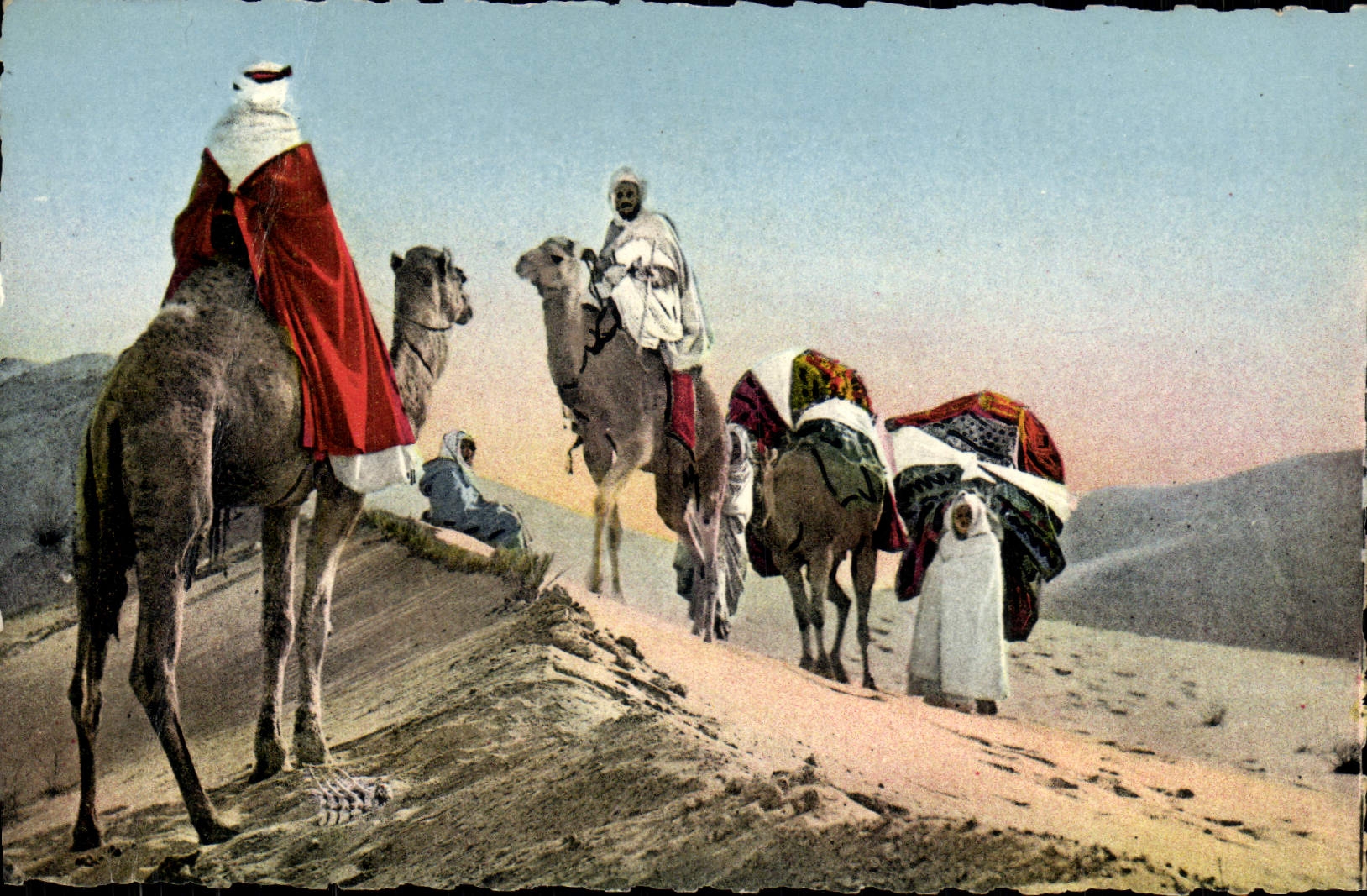 CPA Scenes Types D'Afrique Du Nord Caravane Dans Le Desert Chameaux