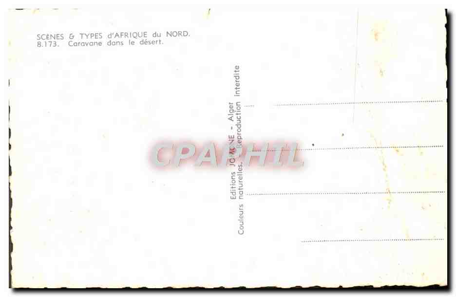 CPA Scenes Types D'Afrique Du Nord Caravane Dans Le Desert Chameaux — Verso