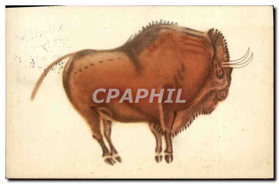CPA Patronato De Las Cuevas De Altamira Santander Bisonte parado 