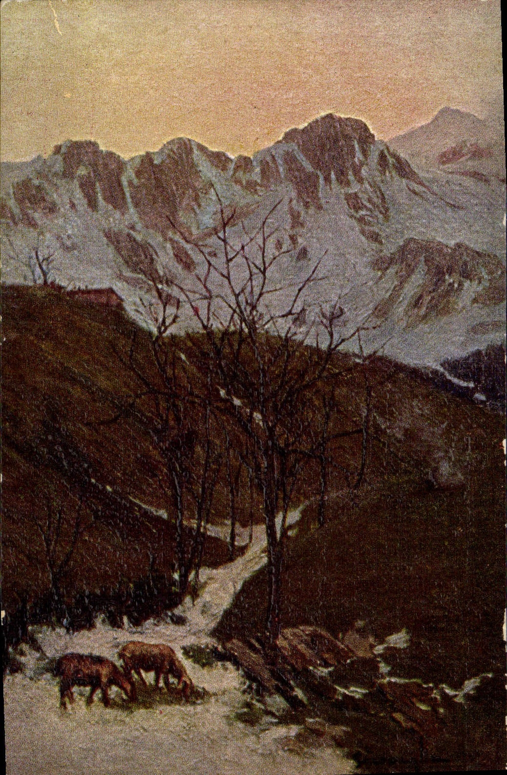 Paysage montagneux enneigé — chevaux broutant — éditeur SALMINI, n° 0122