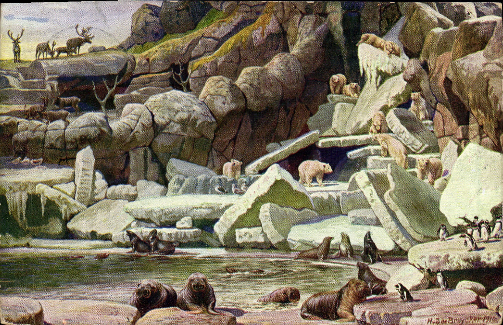 CPA Carl Hugenbeck's Tierpark Stelhgnen Hamburg Zoo Ours blanc Phoque Otarie Pingouin Polaire