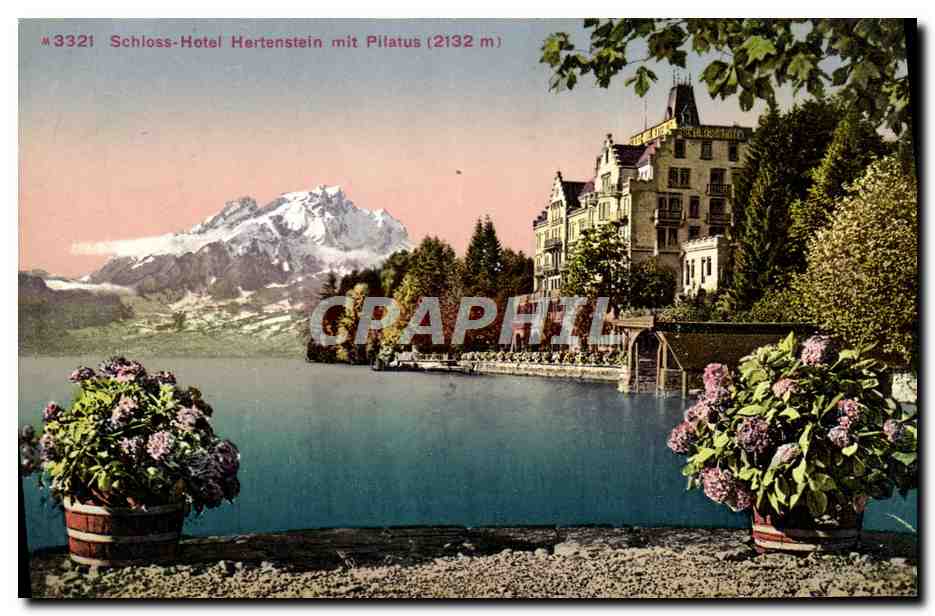 CPA Schloss Hotel Hertenstein Mit Pilatus