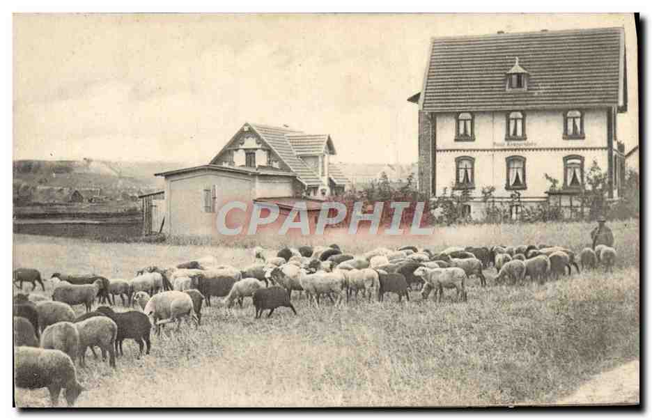 CPA Berger Moutons Hotel Krapersburg 