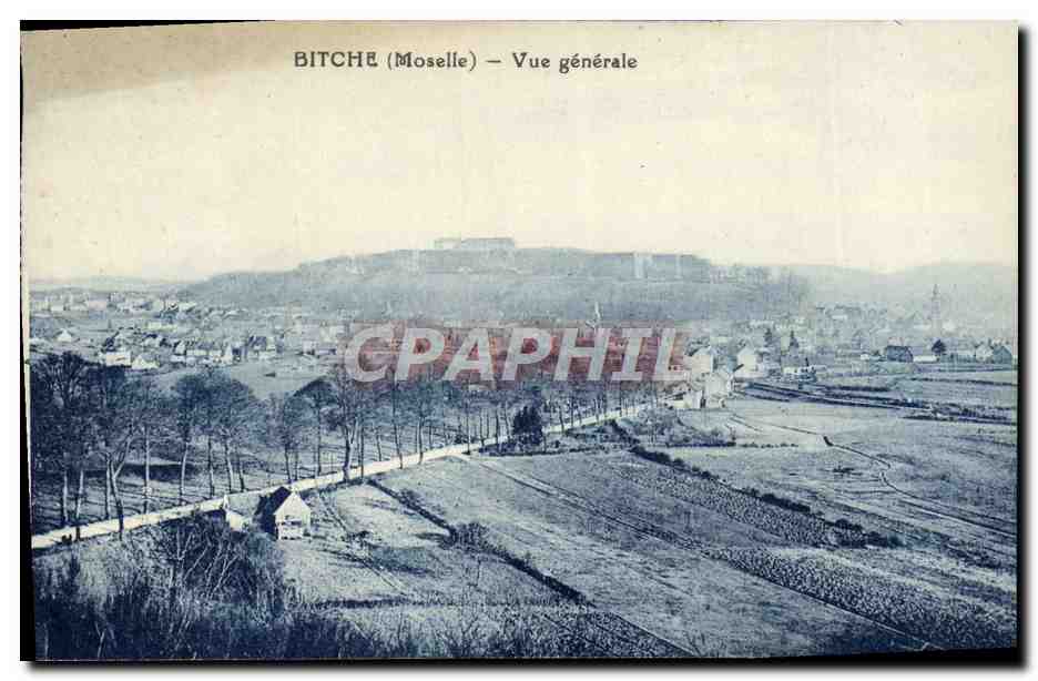 CPA Bitche Vue Generale