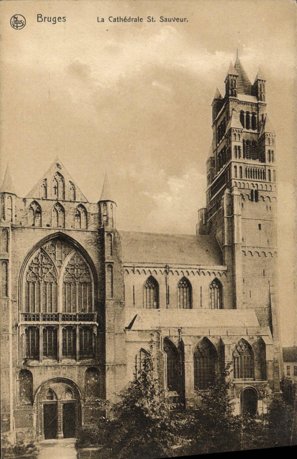 CPA Bruges La Cathedrale St Sauveur