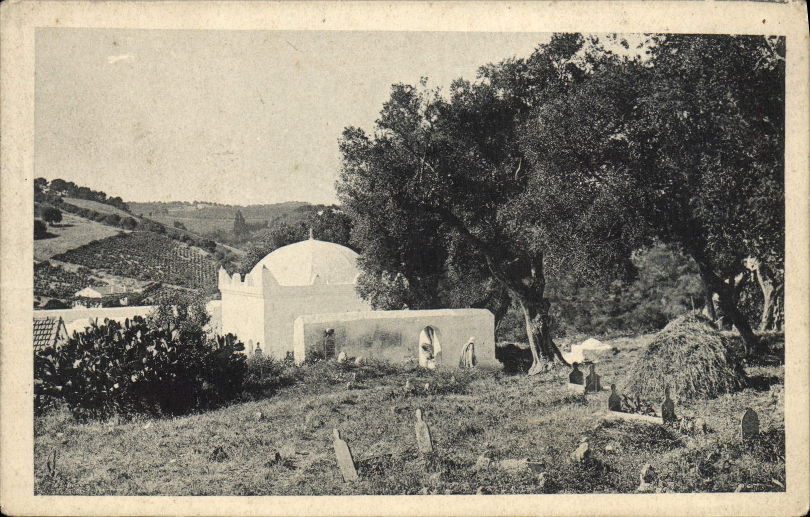 CPA Algerie Cimetiere