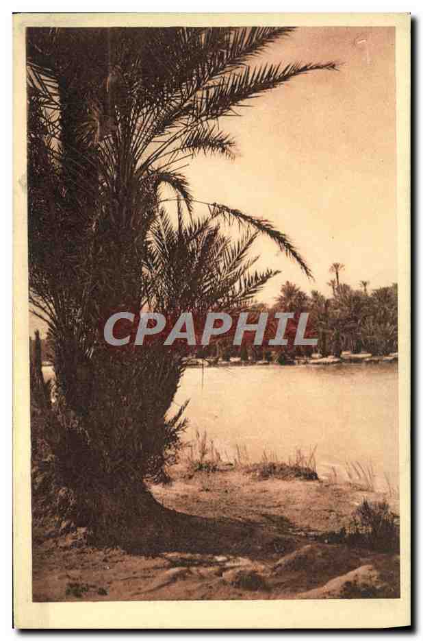 CPA Colomb Bechar La Riviere Sri Lanka