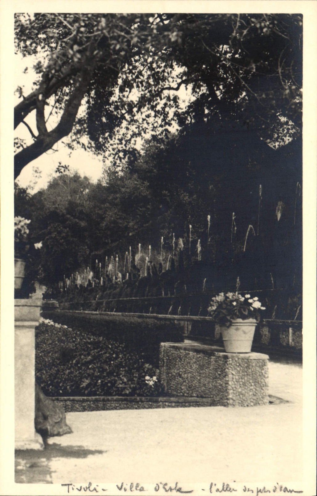 CARTE PHOTO Tivoli Villa d'Este