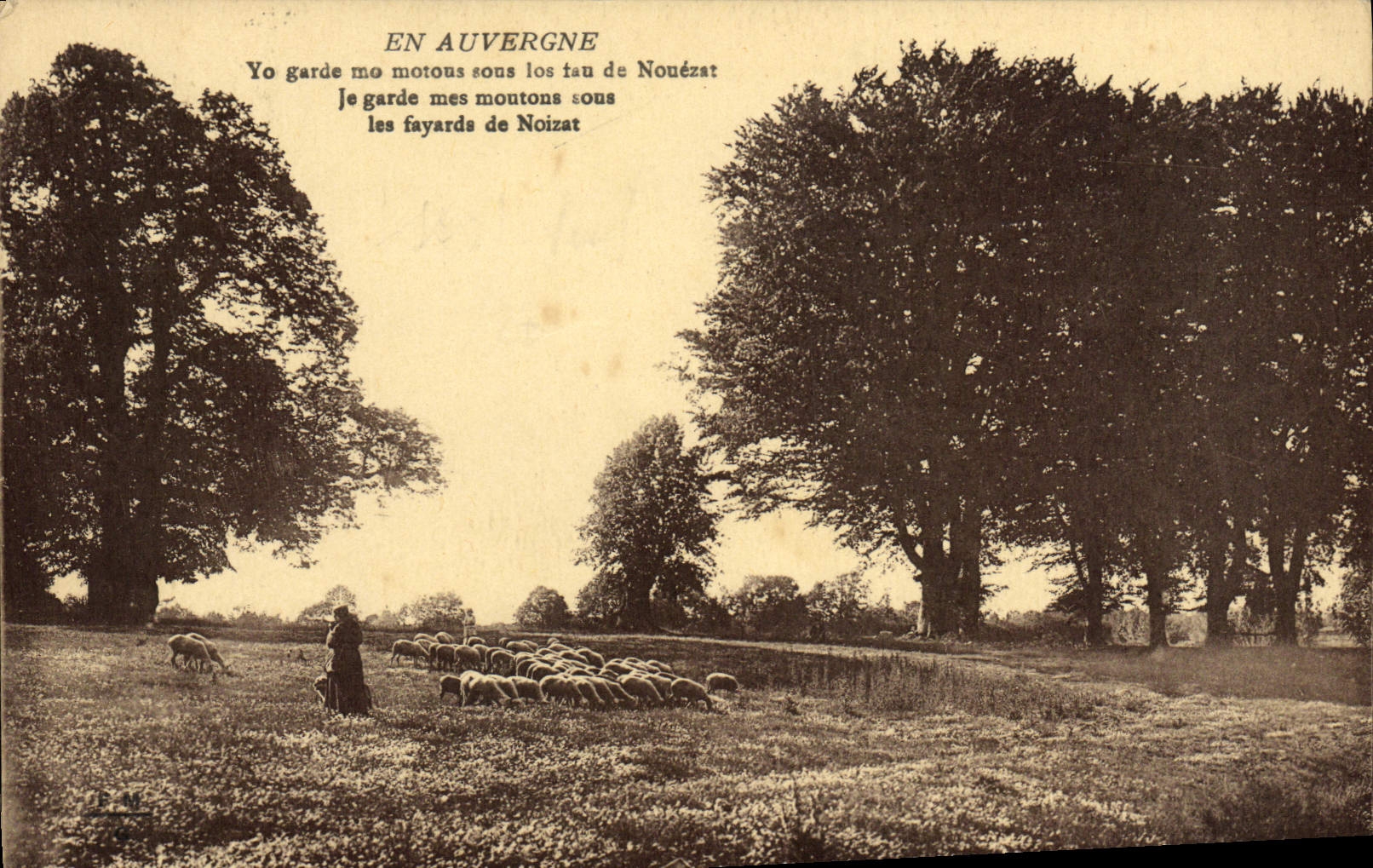 CPA En Auvergne Yo Garde Mo Motous Sous Los Berger Moutons