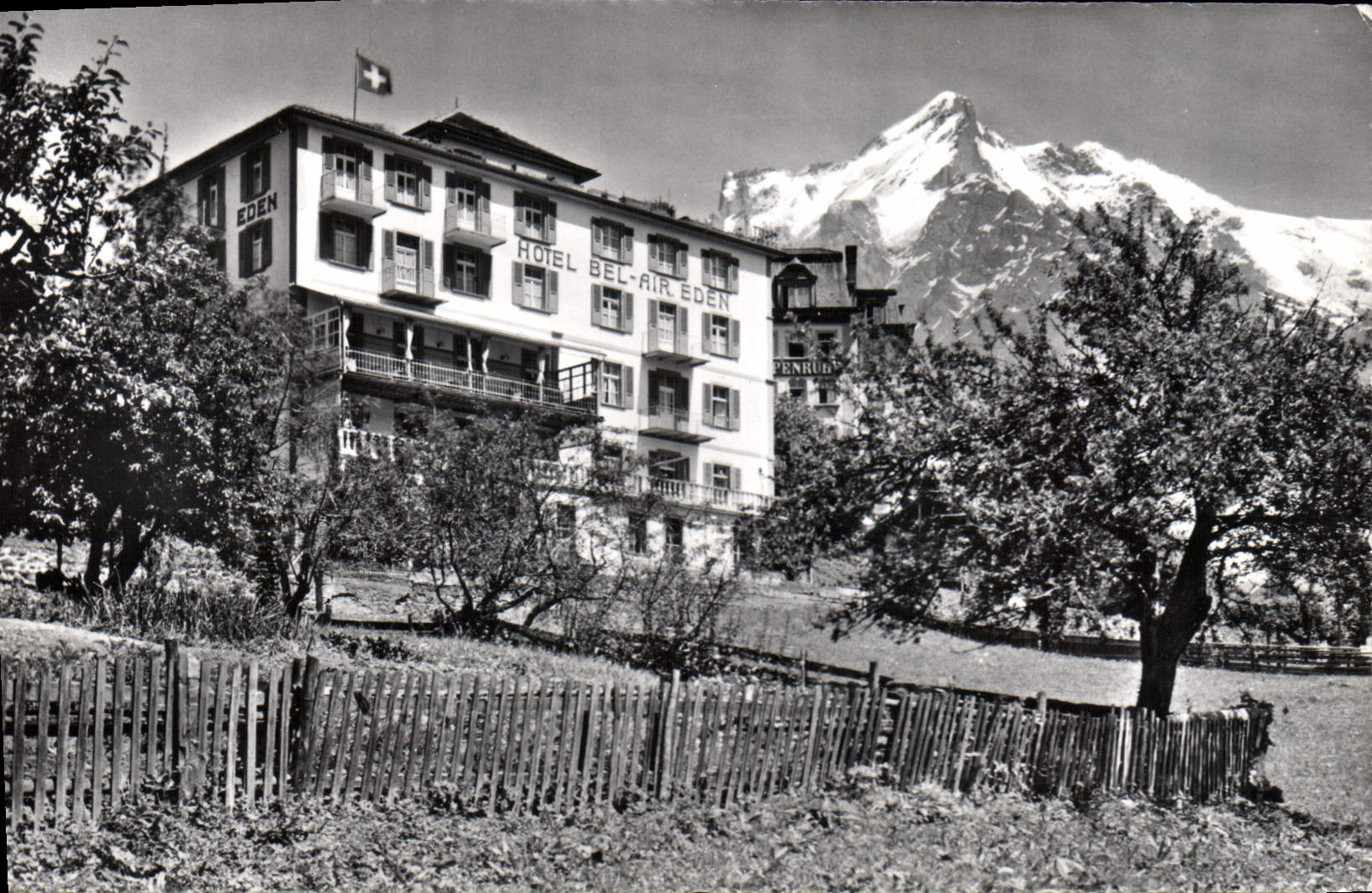 CPAM Grindewald Hotel Bel air Eden 
