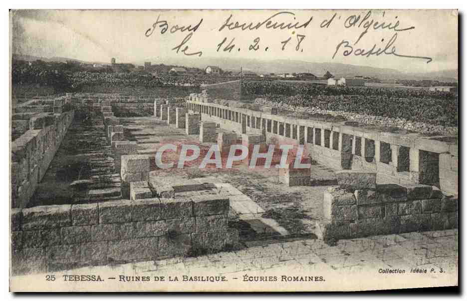 CPA Tebessa Ruines de la Basilique Ecuries romaines