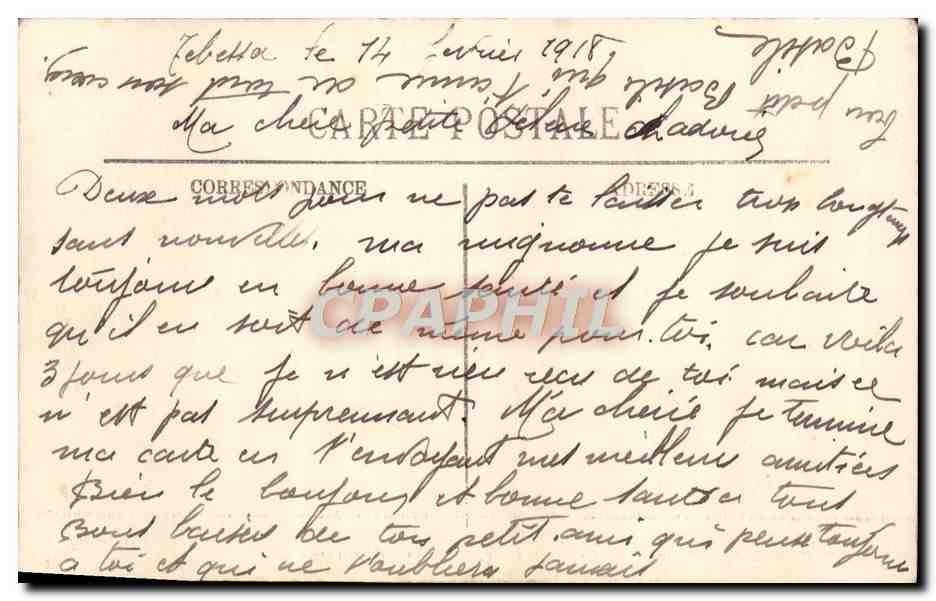 CPA Tebessa Ruines de la Basilique Ecuries romaines — Rückseite