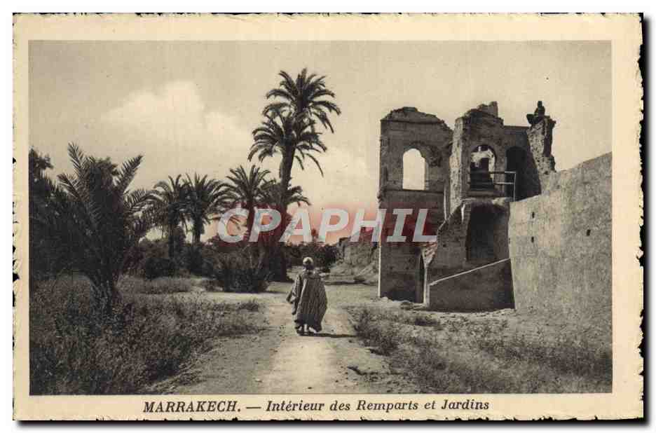 CPA Marrakech Interieur des Remparts et Jardins