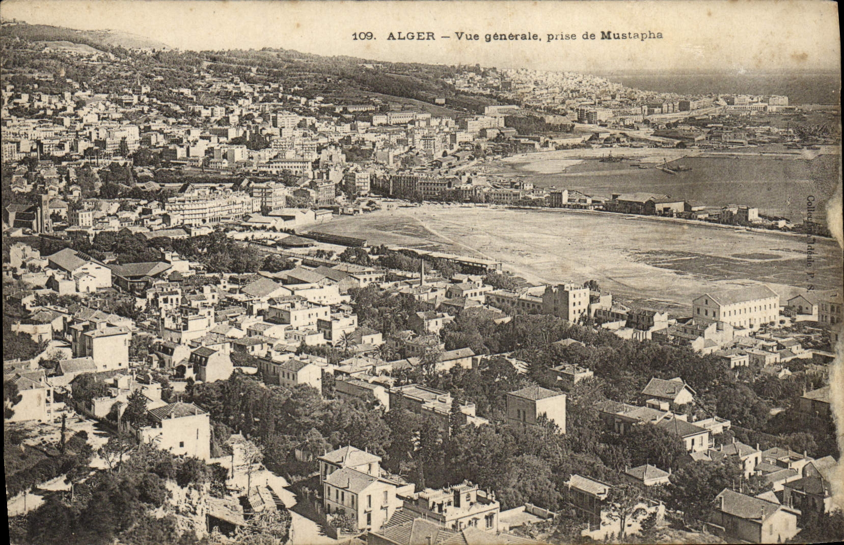 CPA Alger Vue Generale Prise de Mustapha