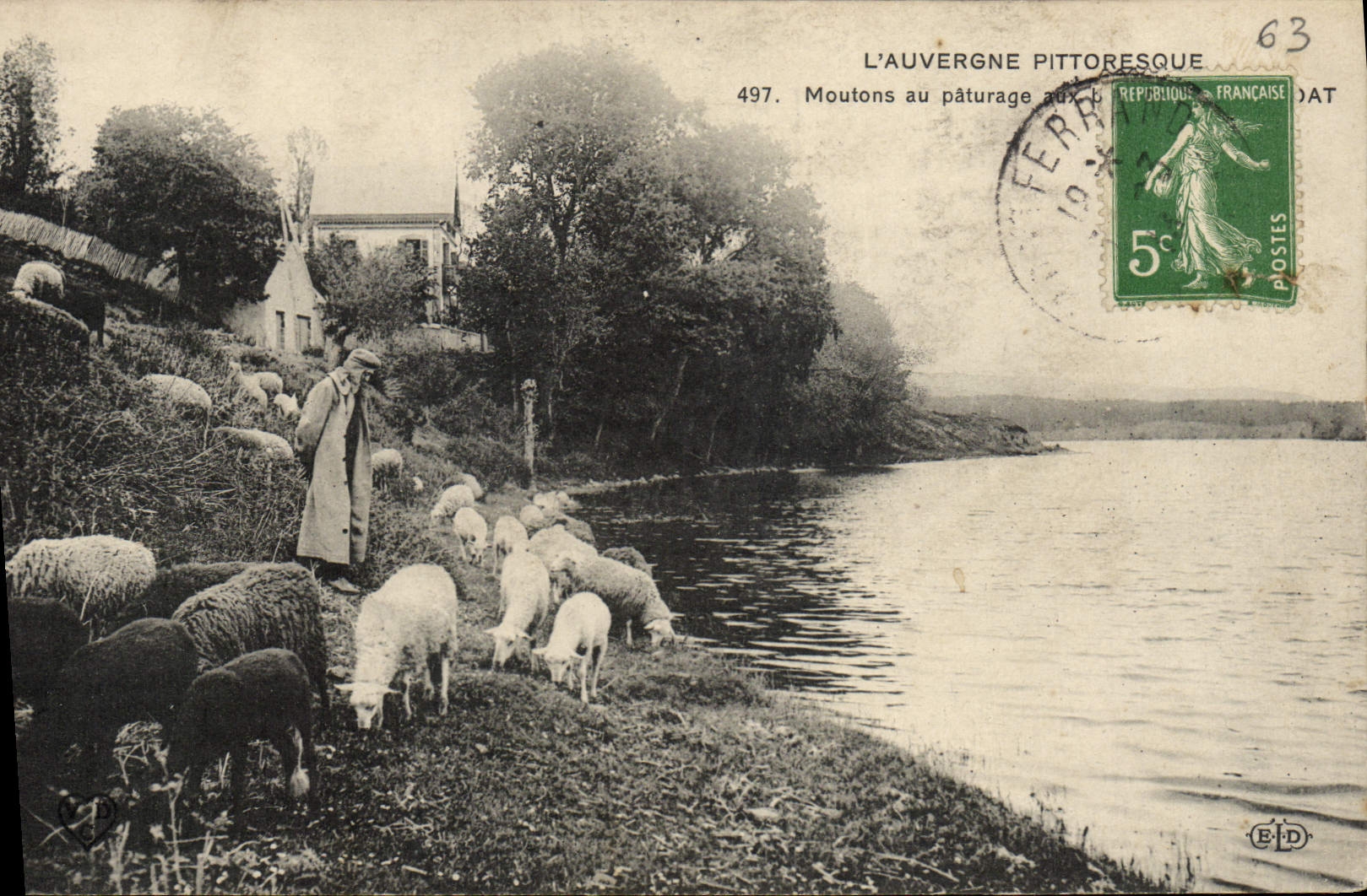 L'Auvergne pittoresque — Moutons au pâturage — Éditeur B.D. n°497