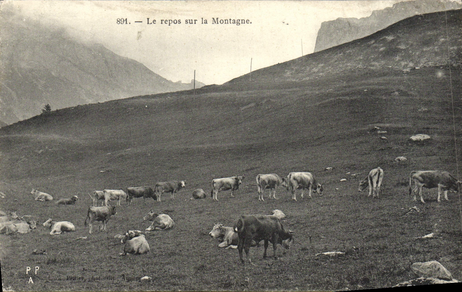 CPA Le Repos Sur La Montagne Vaches