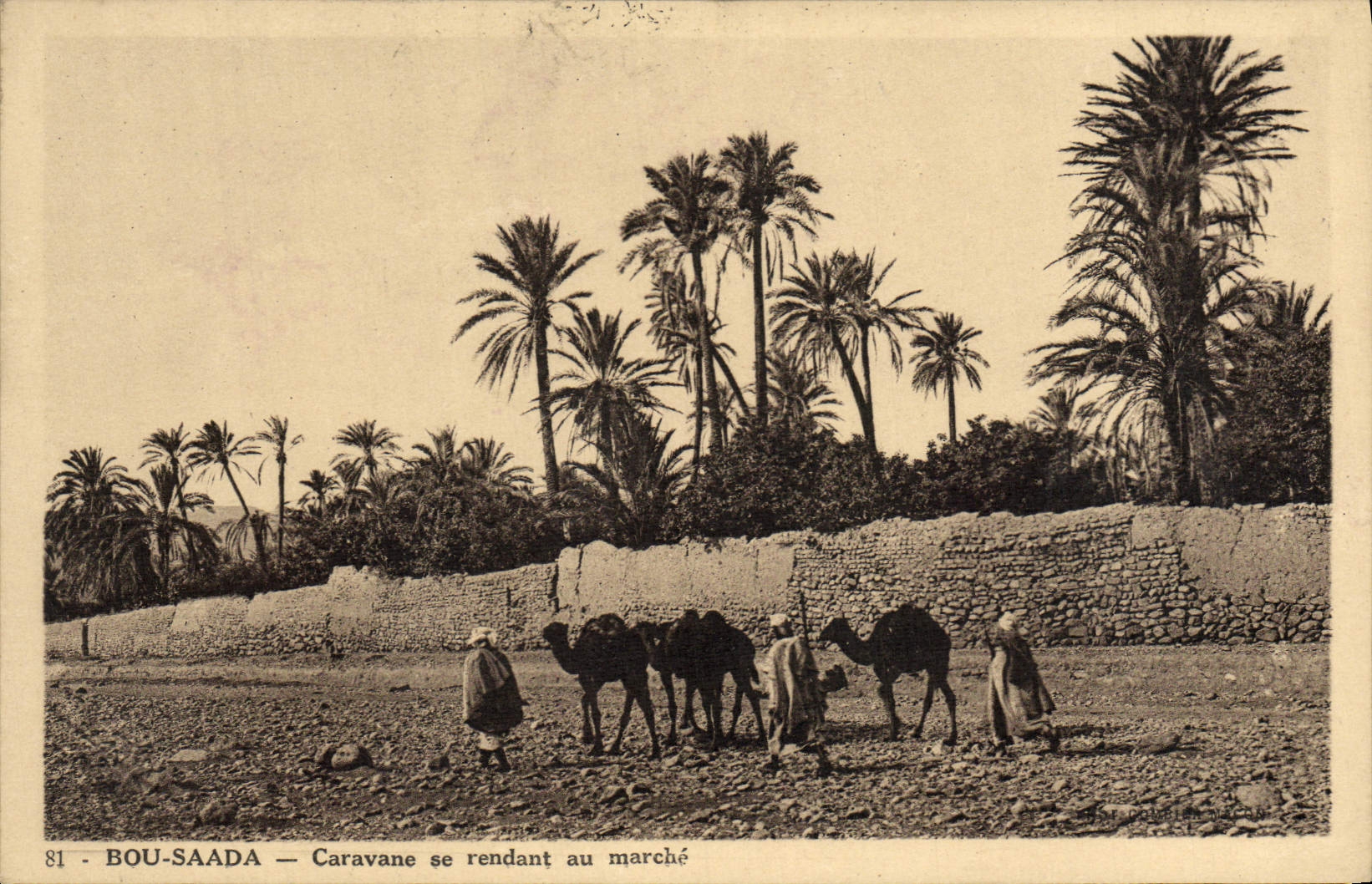 CPA Bou Saada Caravane Se Rendant Au Marche Chameaux