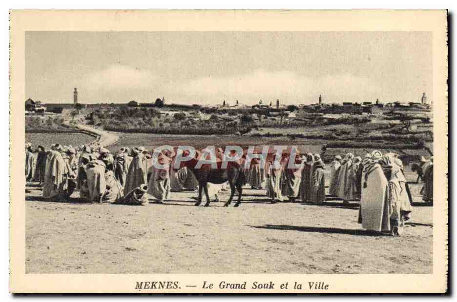 CPA Meknes Le Grand Souk Et La Ville Chevaux