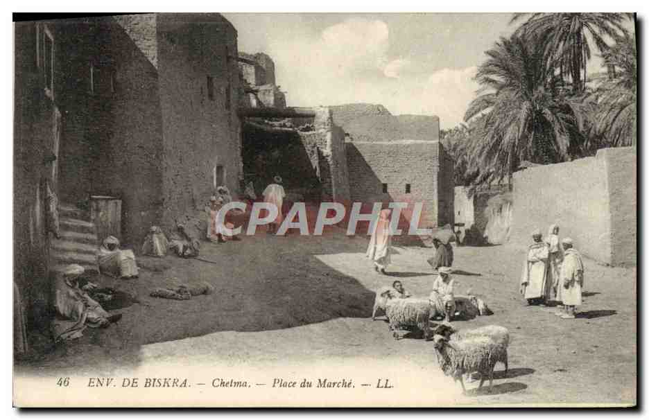 CPA Env De Biskra Chetma Place Du Marche Moutons