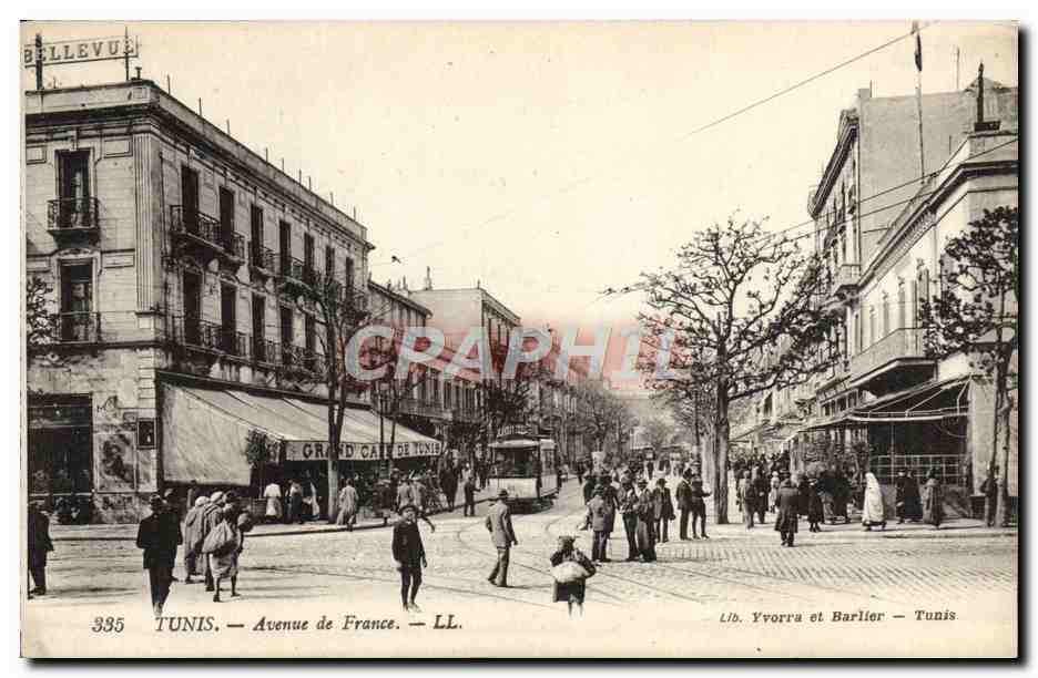 CPA Tunis Avenue De France Tramway