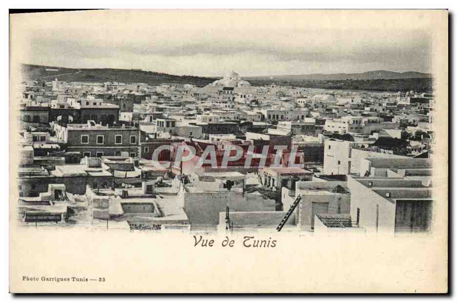 CPA Vue De Tunis