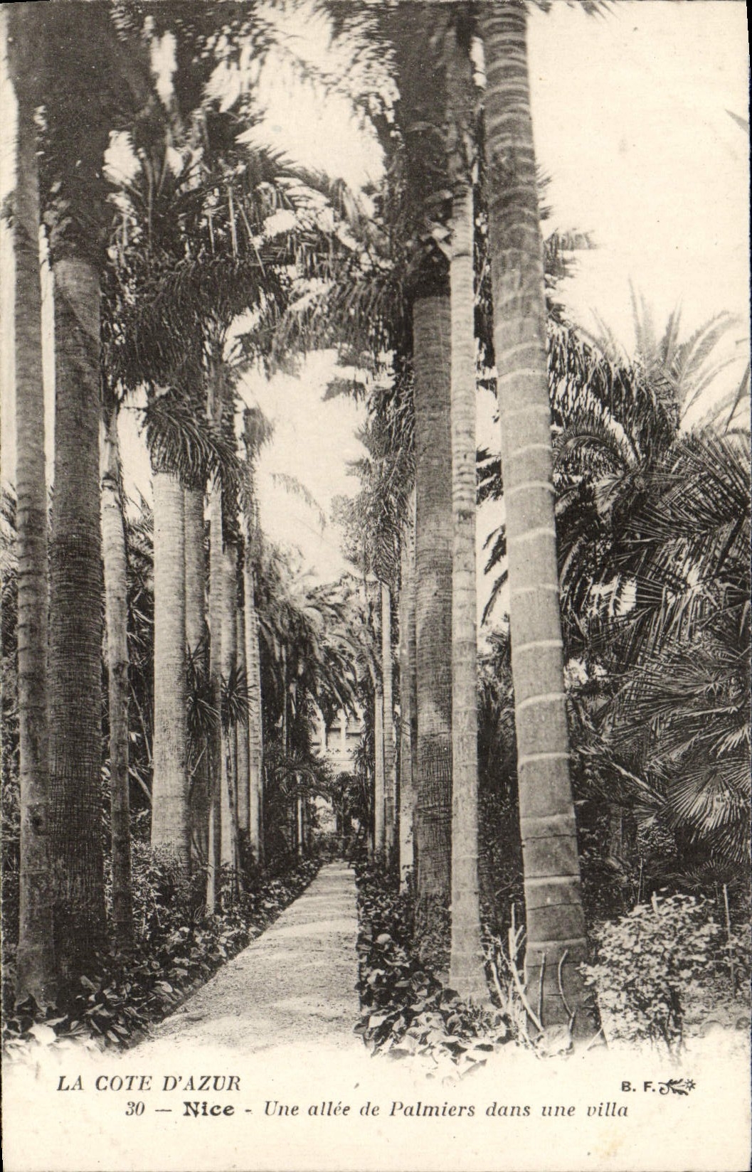 CPA La Cote d'Azur Nice Une Allee De Palmiers Dans Rue Villa