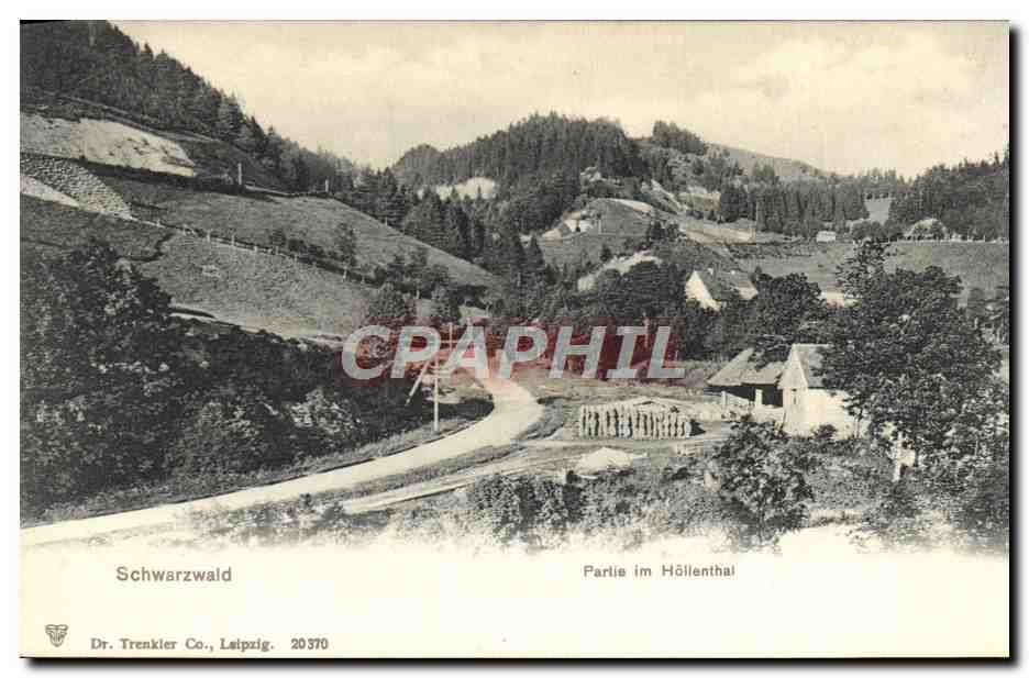 CPA Schwarzwald Partie Im Hollenthal