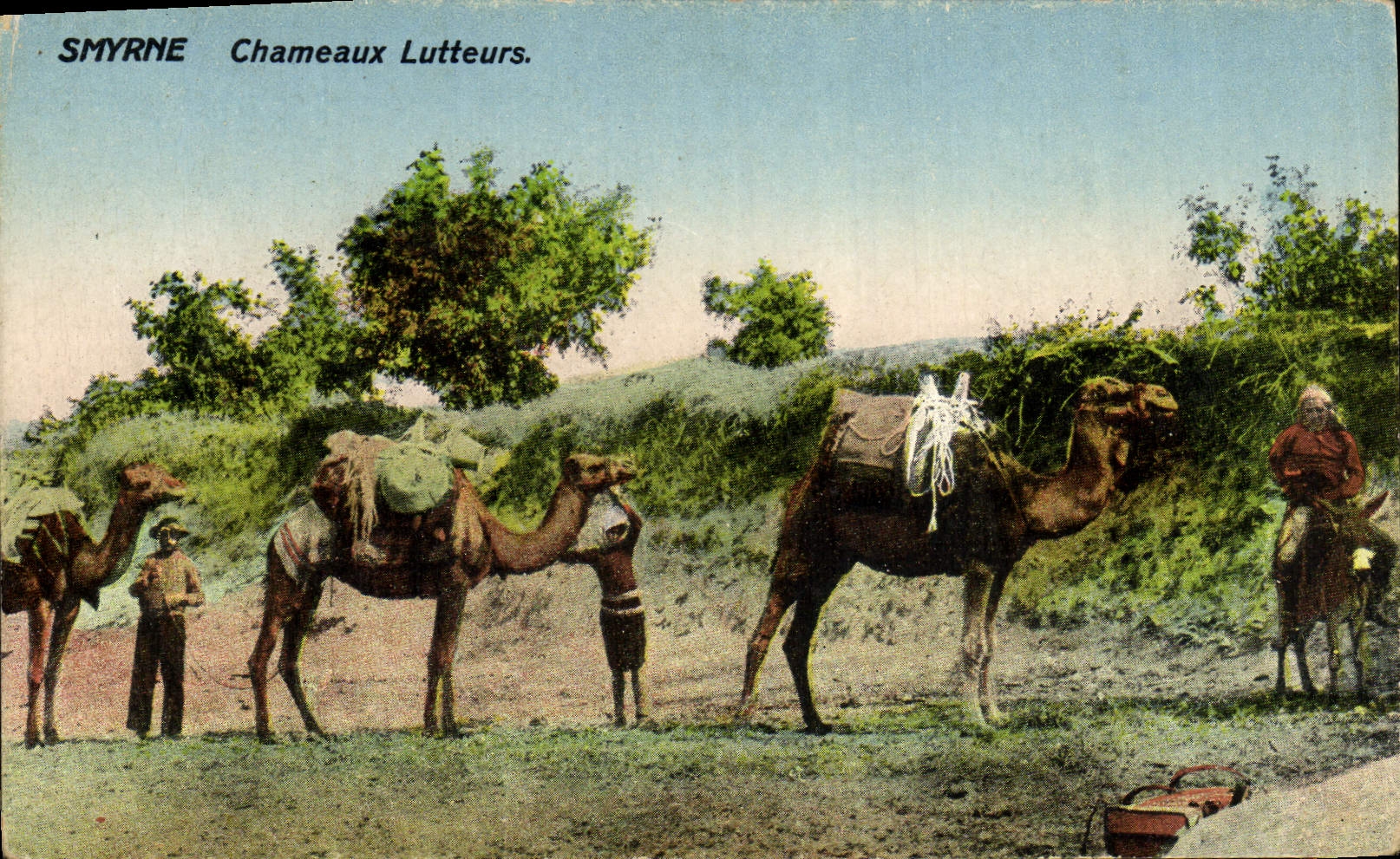 CPA Smyrne Chameaux Lutteurs Turquie