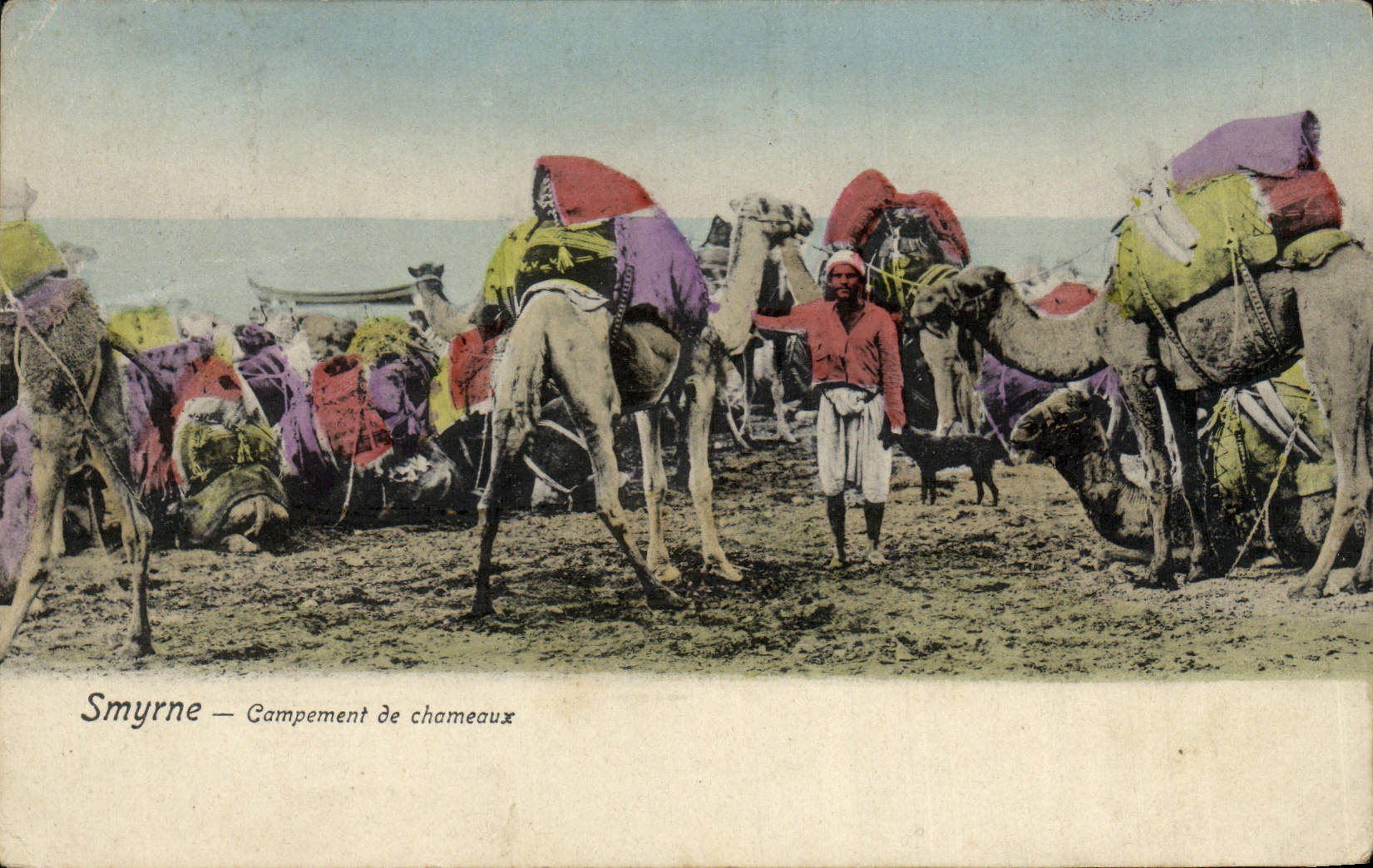 CPA Smyrne Campement De Chameaux Turquie