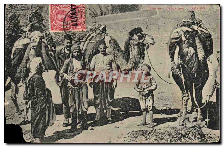 CPA Chameaux decharges Smyrne Turquie Timbre Levant britannique