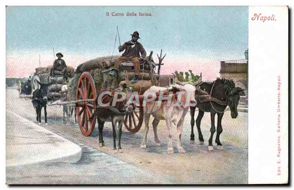 CPA Napoli Ii Carro Della Farina Boeufs Attelage Ange Mule