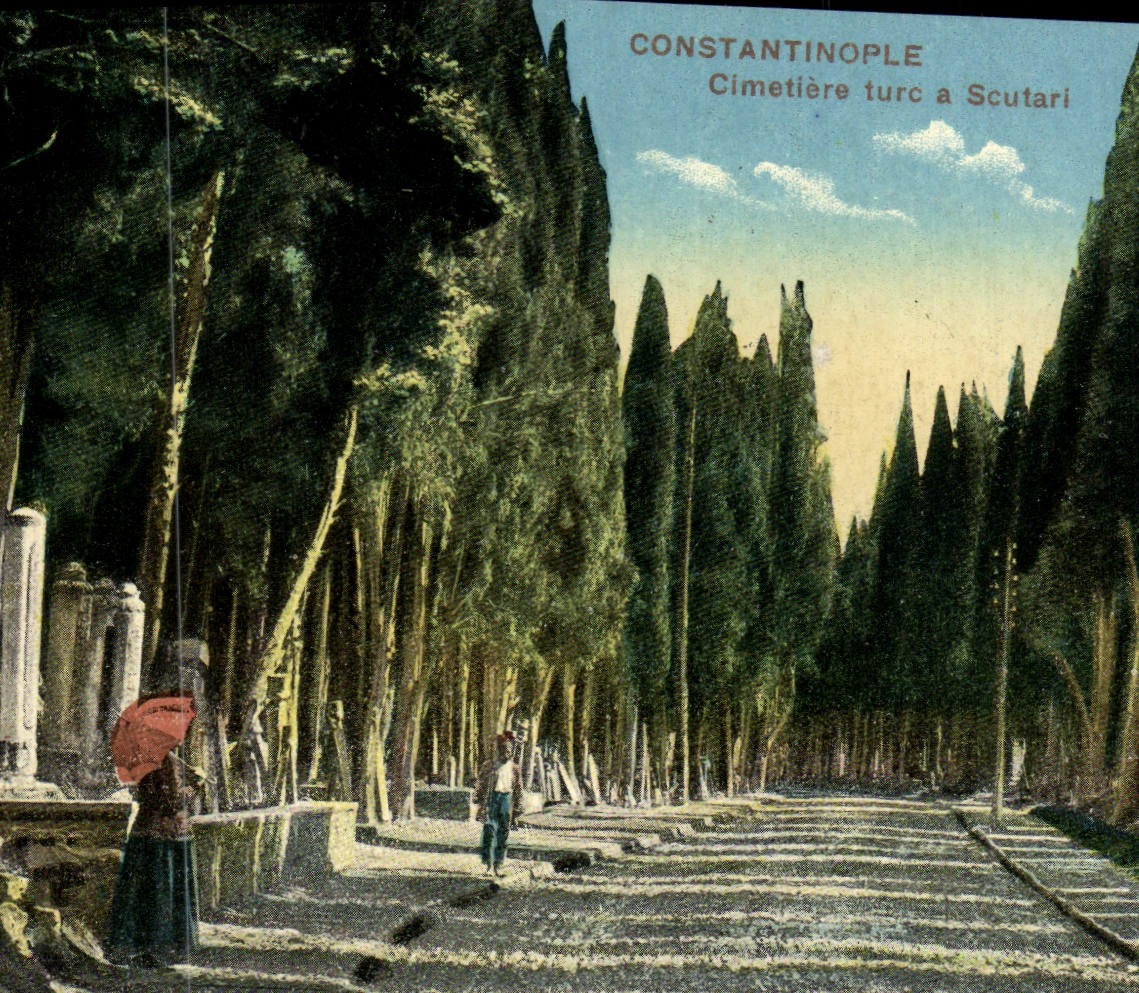 CPA Constantinople Cimetiere Turc A Scutari Turquie