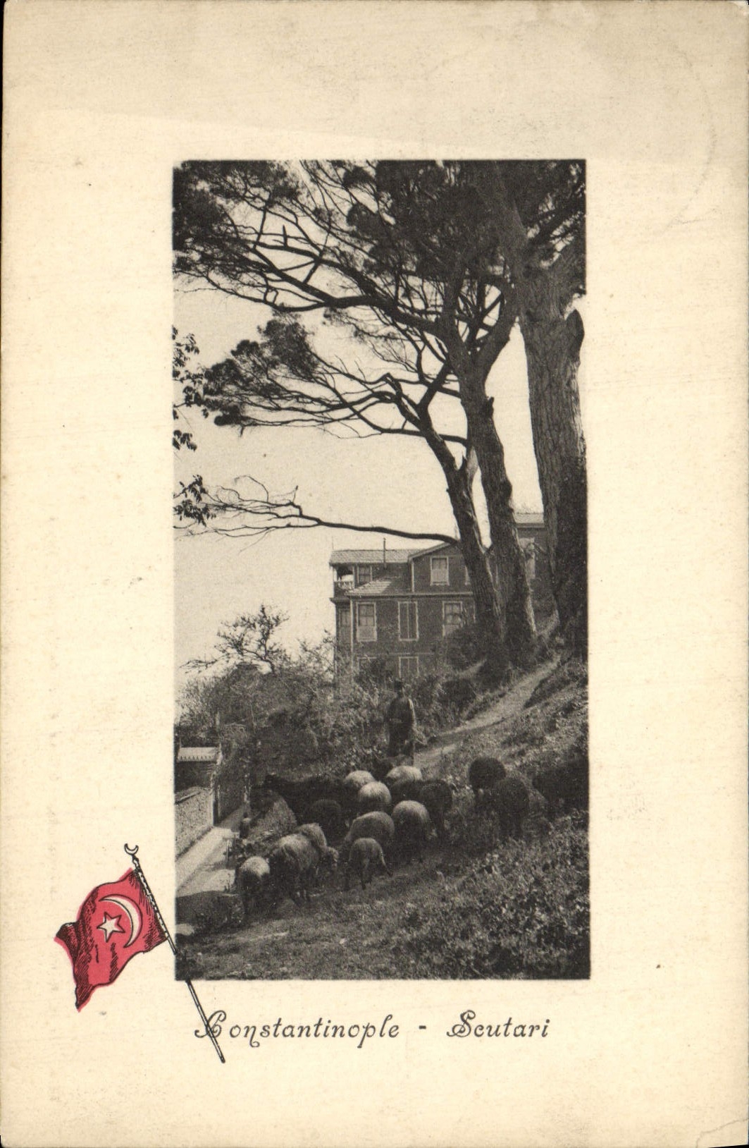 CPA Constantinople Scutari Turquie