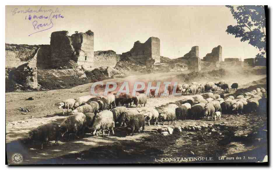 CPA Constantinople Les Murs des 7 tours Moutons Turquie