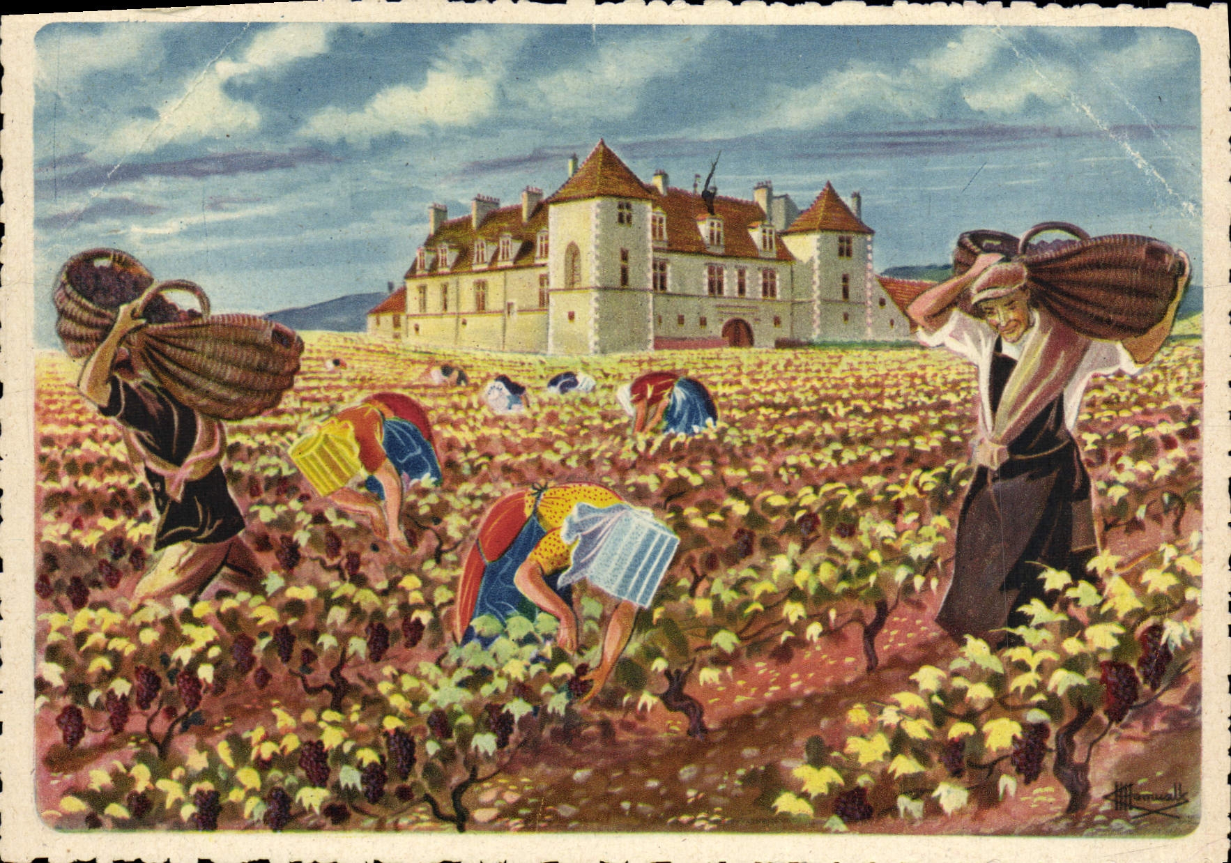 CPM Bourgogne Les vendanges au Clos Vougeot