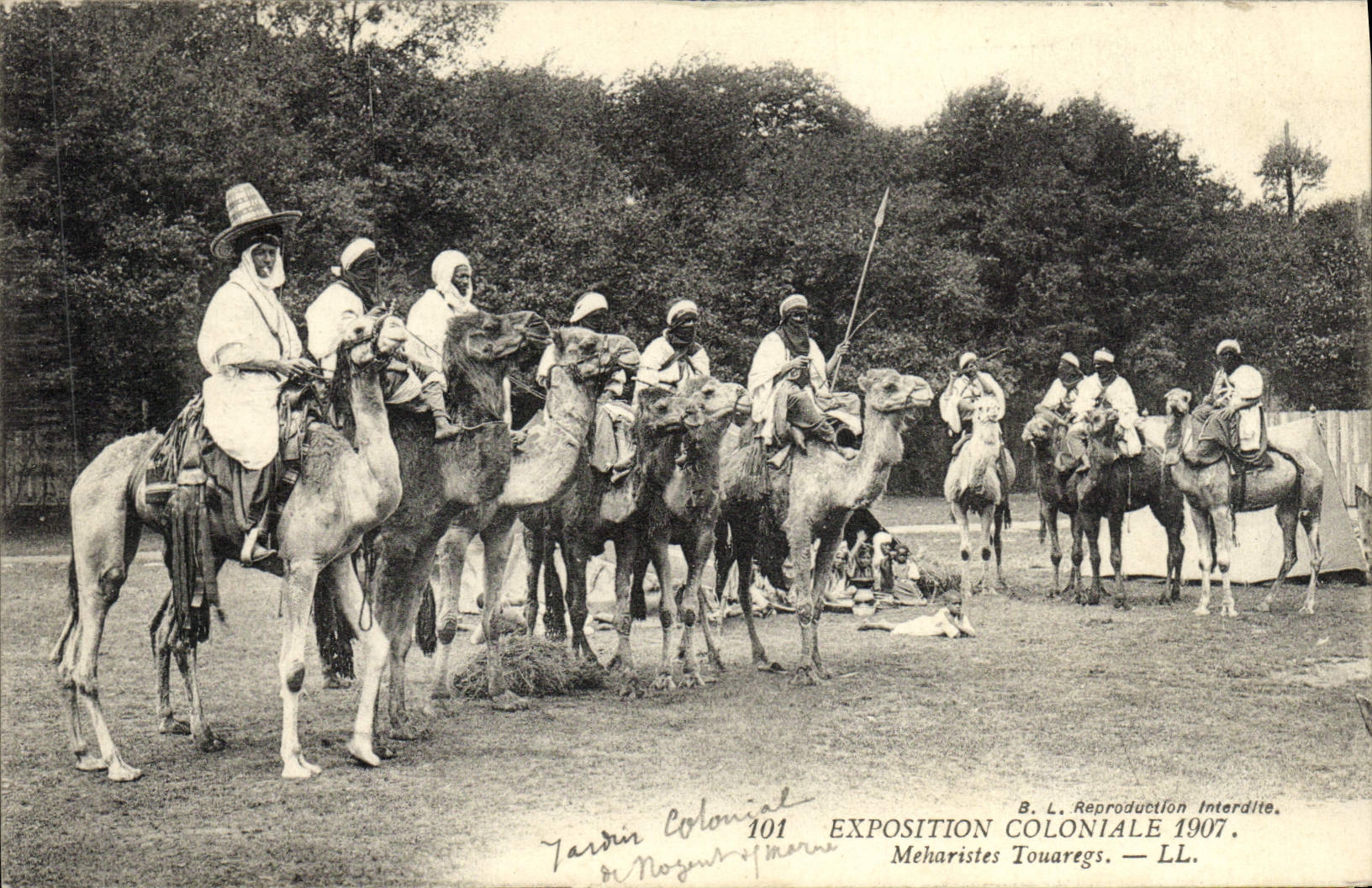 CPA Paris Exposition Coloniale 1907 Meharistes touaregs Chameaux 
