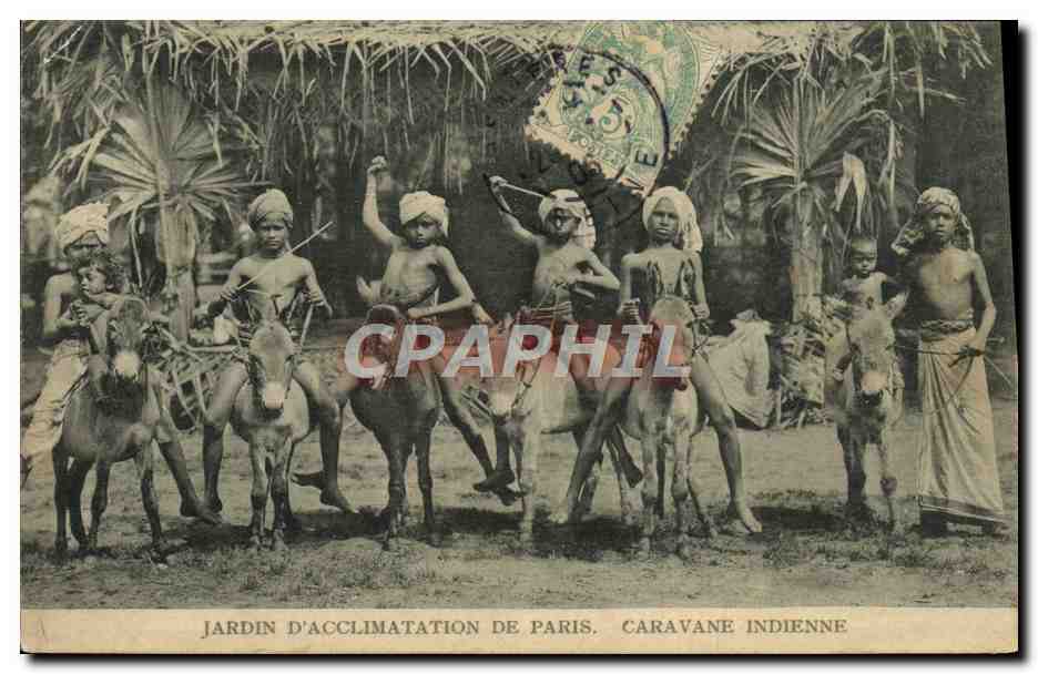 CPA Paris Jardin D'Acclimatation Caravane Indienne Anes Mules 