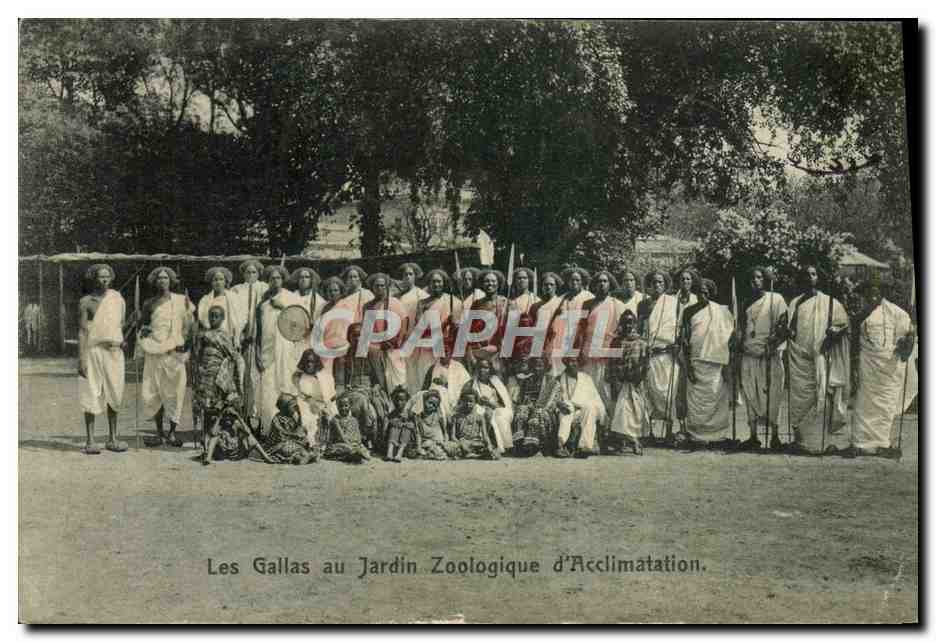 CPA Paris Jardin D'Acclimatation Les Gallas au jardin zoologique d'acclimatation