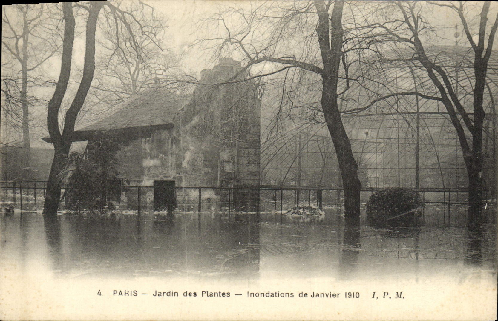 CPA Paris Jardin des plantes Inondations de janvier 1910