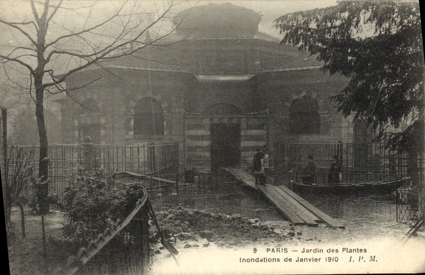 CPA Paris Jardin des Plantes Inondations de Janvier 1910