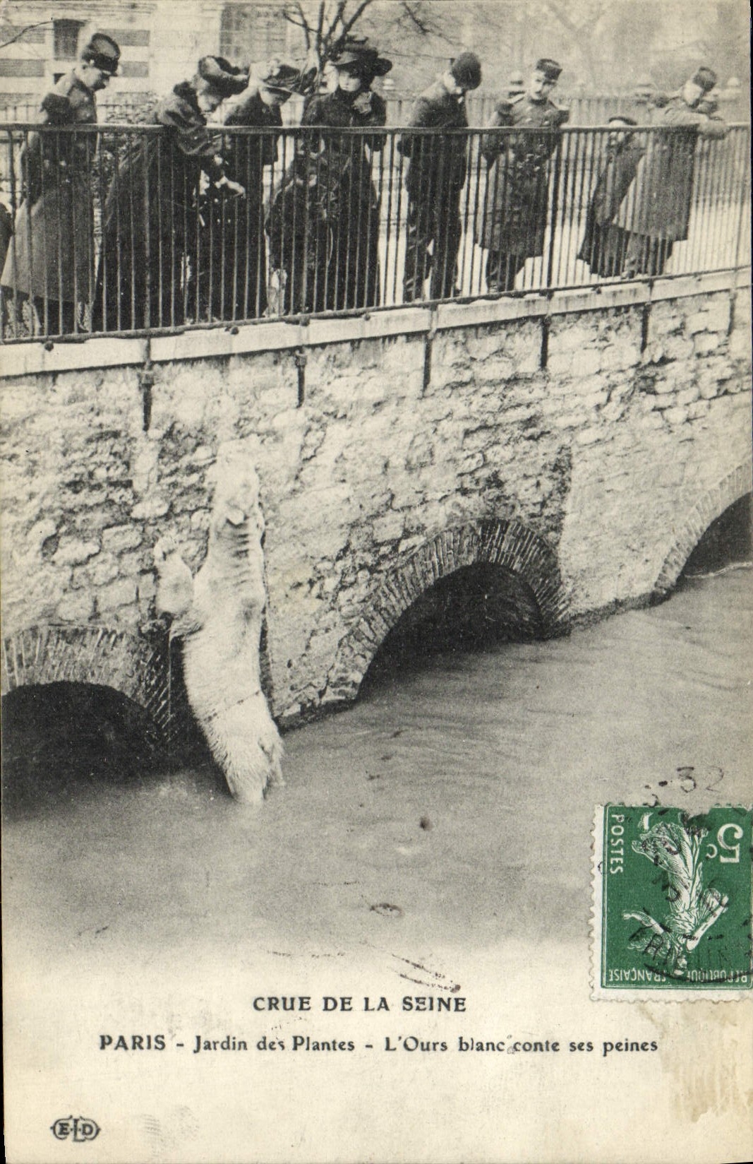 Paris - Jardin des Plantes - Crue de la Seine - L'Ours blanc conte ses peines — E.D.